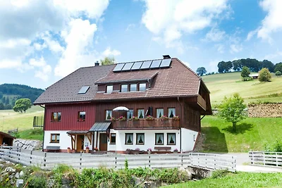 Appartamento Vacanza con famiglia Todtnau