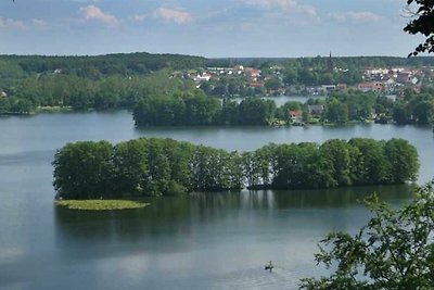 Vakantieappartement Gezinsvakantie Feldberger Seenlandschaft