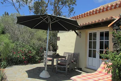 Casa Palmera A