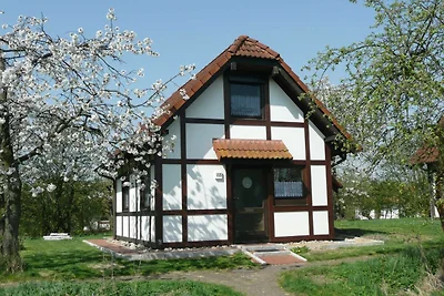 Hotel Cultuur en bezienswaardigheden Hollern-Twielenfleth