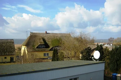 Wohnung 1