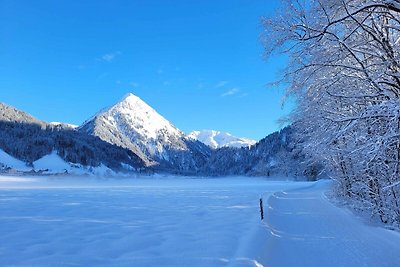 Appartamento Vacanza con famiglia Schoppernau