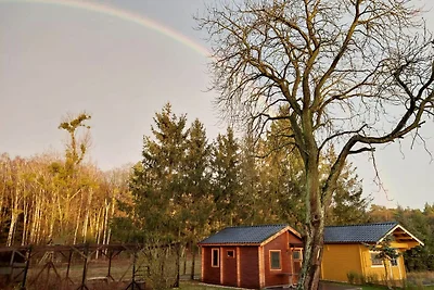 Holzbungalow Misdroy für bis zu 4 Personen