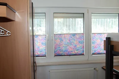 Vakantieappartement Gezinsvakantie Sellin