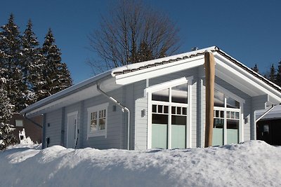 Holiday home relaxing holiday Clausthal-Zellerfeld
