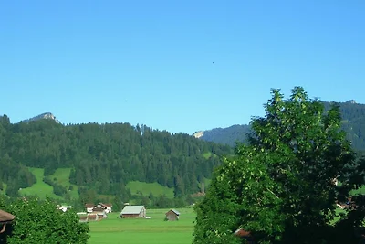 Pfifferling (1-2 Pers.)