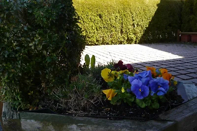 Appartamento Vacanza con famiglia Schliersee