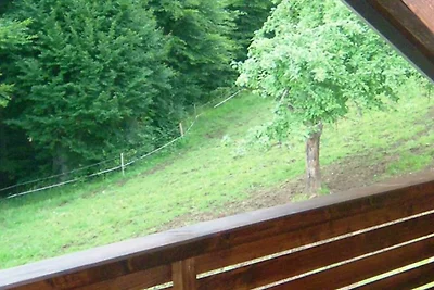 Bio living Waldblick Zimmer mit Küche