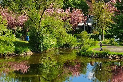 Vakantieappartement Gezinsvakantie Bad Zwesten