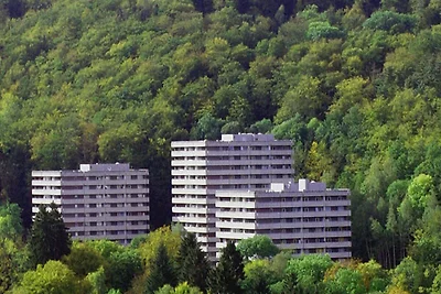 Vakantieappartement Gezinsvakantie Bad Harzburg