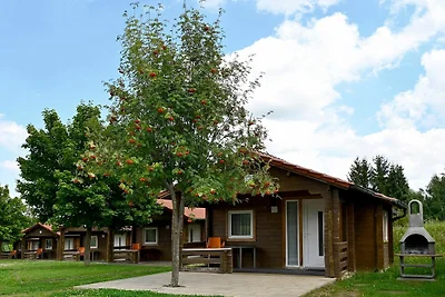 Vakantiehuis Ontspannende vakantie Harzgerode