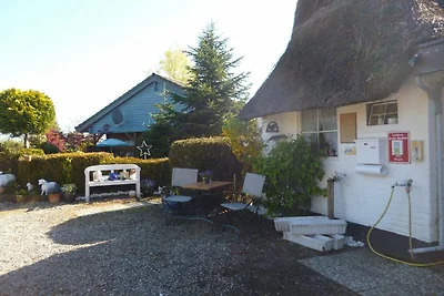 Vakantieappartement Gezinsvakantie Olpenitz