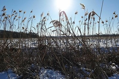 Vakantiehuis Ontspannende vakantie Schorssow