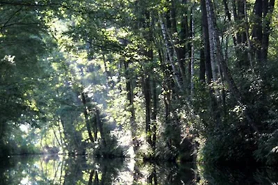 Appartamento Vacanza con famiglia Märkische Heide