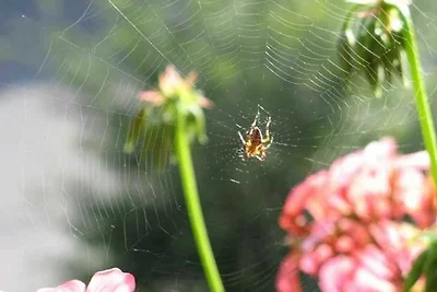 Ferienwohnung für 2 bis 4 Personen