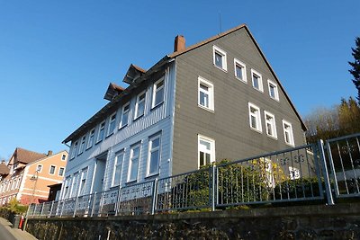 Vakantieappartement Gezinsvakantie Sankt Andreasberg