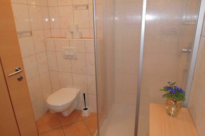 Vakantieappartement Gezinsvakantie Wildschönau