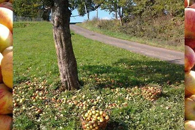 Appartamento Vacanza con famiglia Lützelbach