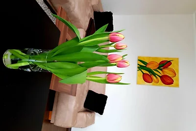 Ferienwohnung an der Elbfähre - für 2 - 3...