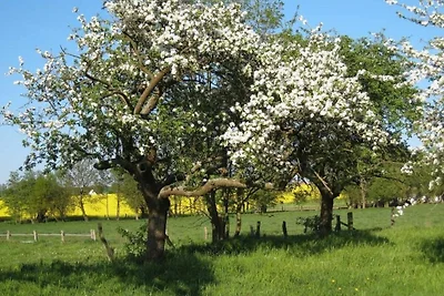 Kuća za odmor Dopust za oporavak Schönbeck