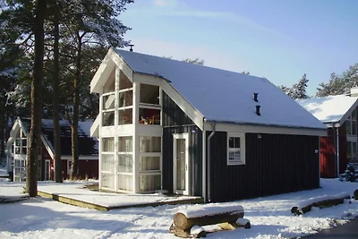 Ferienhaus Ostsee Strandhaus Seerobbe