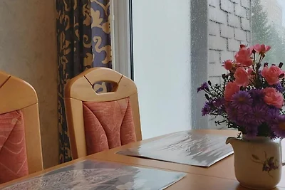 Katzenfreundliche Ferienwohnung