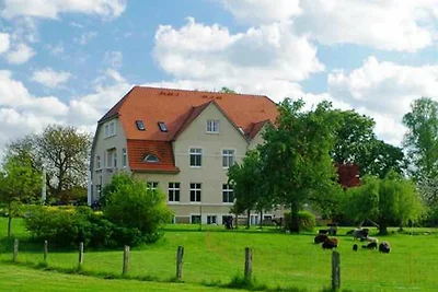 1 Zimmer-Appartement