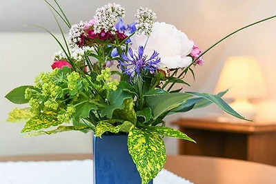 Casa vacanze Vacanza di relax Wittmund