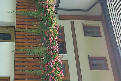 Ferienwohnung gelb