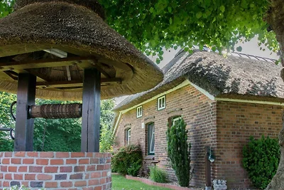 Ferienhaus Lüttje Cottage