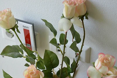 Ferienwohnung II, für max.