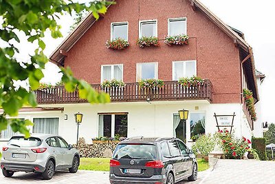 Hotel Cultuur en bezienswaardigheden Feldberg