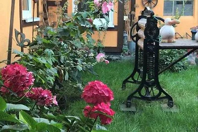 Casa vacanze Vacanza di relax Ribnitz-Damgarten
