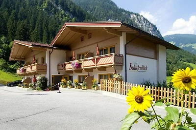 Appartamento Vacanza con famiglia Schwendau