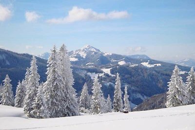 Vakantieappartement Gezinsvakantie Jungholz