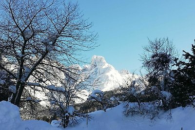 Vakantieappartement Gezinsvakantie Annaberg im Lammertal
