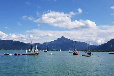 Apartament Dla rodzin Mondsee