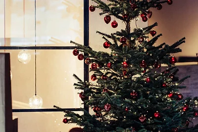 Naturzimmer Talblick