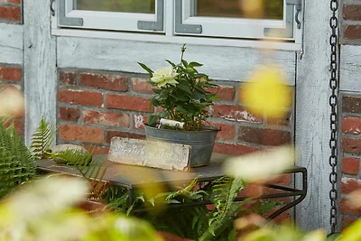 Vakantieappartement Gezinsvakantie Jork