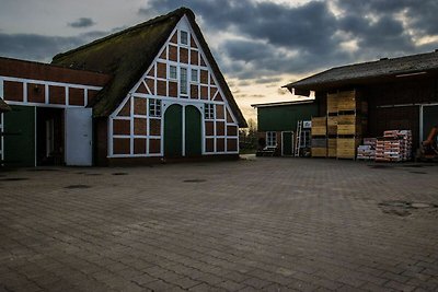 Ferienwohnung 3 unten