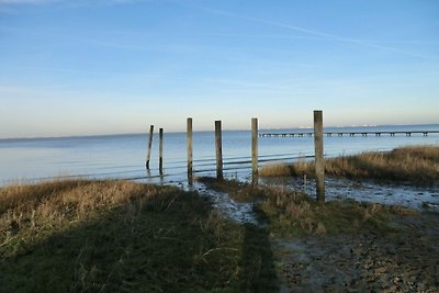 Ferienwohnung Fine Feerjen