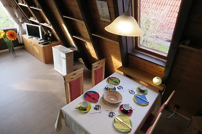 Albergo Cultura ed escursioni Hollern-Twielenfleth