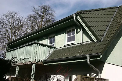 Albergo Cultura ed escursioni Koserow