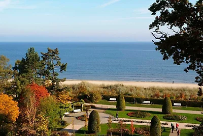 Hotel Cultuur en bezienswaardigheden Heringsdorf