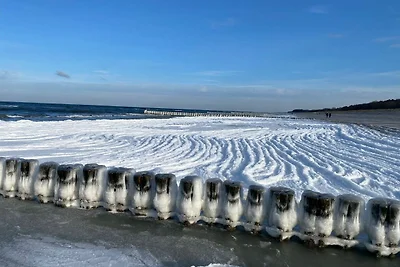 Tiny Haus C235 Wacholderdrossel