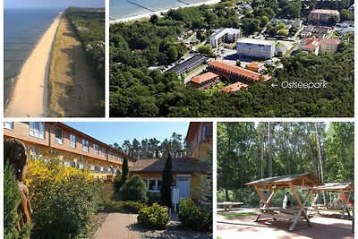 Albergo Cultura ed escursioni Zempin