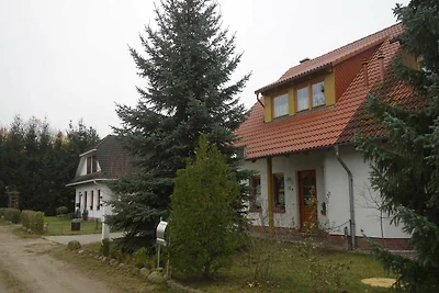 Moni's Surfhaus