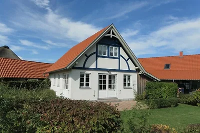 Sternschnuppe