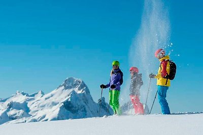 Appartamento Vacanza con famiglia Au in Vorarlberg