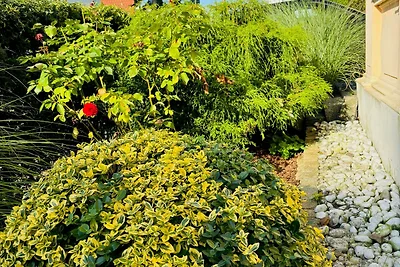 Wohnung Haus Emanuel